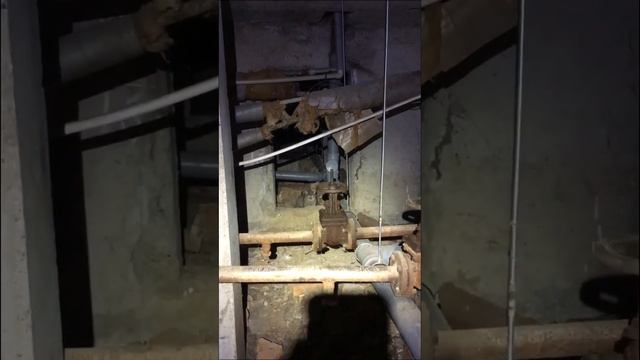 Мурчик бубурчик? #сантехмастер #отопление #водопровод смотреть онлайн