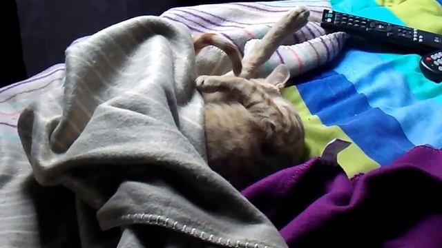 Video HD 720p de prueba Nikon Coolpix L330 poca Luz смотреть онлайн