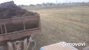 Погрузка навоза грейфером.