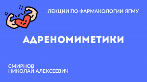 Адреномиметики | Медиаторная фармакология
