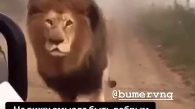 Не вижу смысла быть доброй 😍😍😍😎 смотреть онлайн