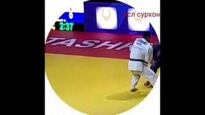НОРКУВВАТ ПОЛВОН ЧЕМПИОН 24.11.2022