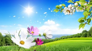 практикум по биолокации 3