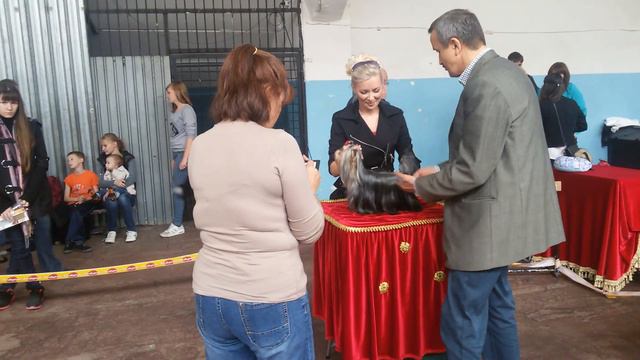 "ЧЕЛЯБА 2015 " Эксперт Иванов А.С. (Москва) смотреть онлайн