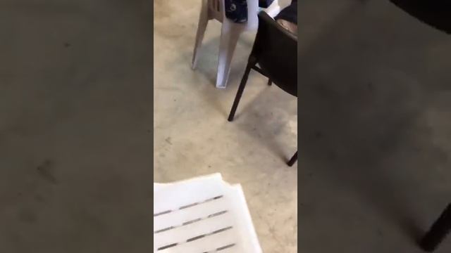 Hacking Chair Flip