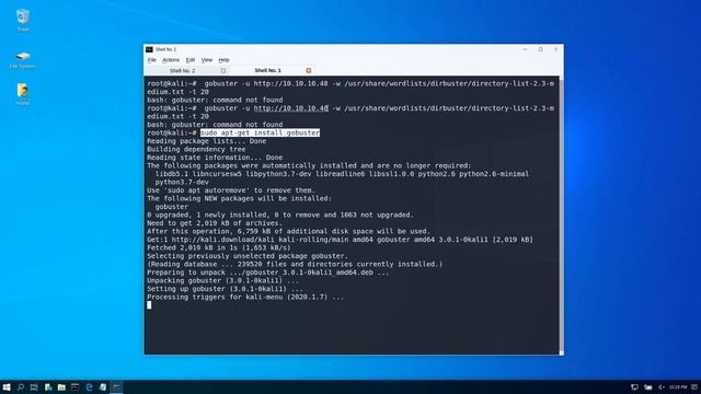 Gobuster Command Not Found On Kali 2020 | How To Install And Run Gobuster 2020