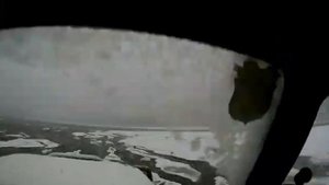 Поездка по зимней тайге.