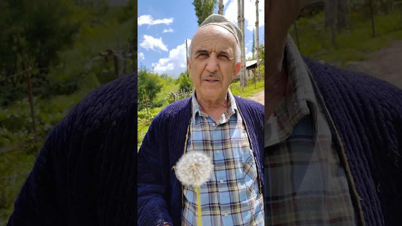 Смешные Моменты Гулбазм навори кино