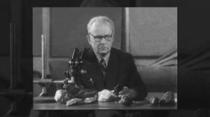 Древние каменные ножи лучше стальных?