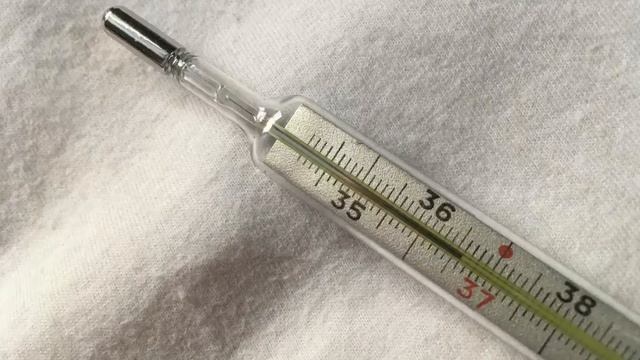 Где купить ртутный градусник в СПб смотреть онлайн