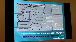 «Голоса в „мире безмолвия“», Александр Агафонов (Институт океанологии РАН), Первозданная Россия 2018