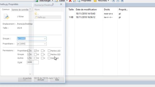 Easy Raspberry tutorial 02: First PYTHON program Hello World