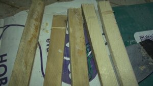 Черная львинка, получаем личинку, процесс пошёл.