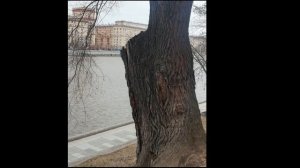 В Нескучном. Ксения Полтева, стихи Льва Болдова