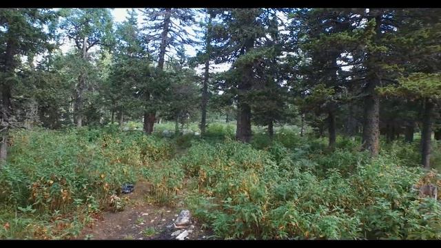 Река Юрюзань и хребет Зигальга.