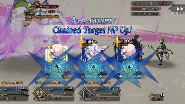 [FGO] CCC Main Interlude: SE.RA.PH - Kingprotea Challenge Quest [Cu Alter stalling setup] смотреть онлайн