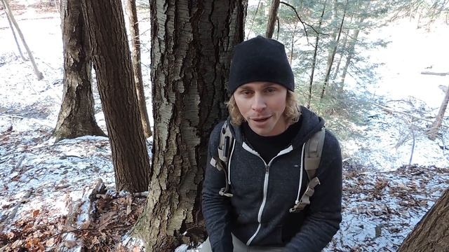 Using Birch Bark To Heal Wounds Faster смотреть онлайн