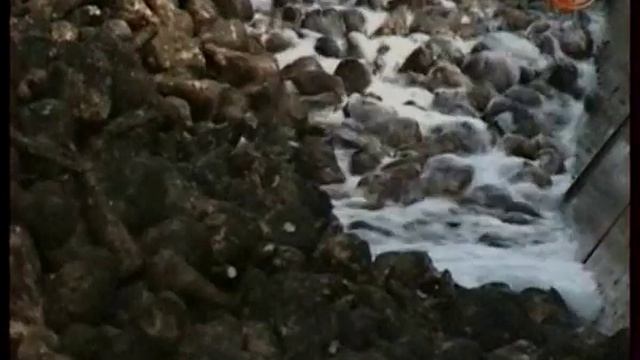 В Липецкой области планируют собрать около 4 млн. тонн сахарной свеклы смотреть онлайн