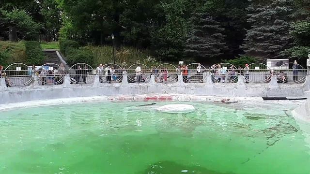 Калининградский зоопарк, который стоит того, чтобы его увидеть. Из серии "Туристу на заметку"