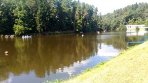 дом отдыха Снегири. Пруд