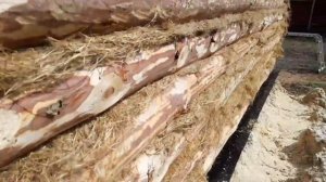 Сруб, крыша