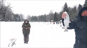 Обзор с верхнего водоёма. Клёвое место, Лосиный остров.