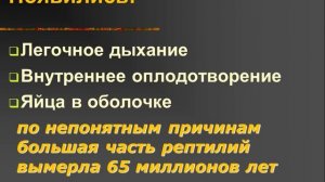 Эволюция животного мира (кратко) 9