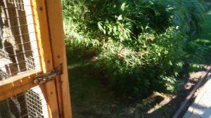 ток Евпатория