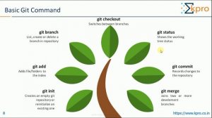 2.Git Command Line Interface