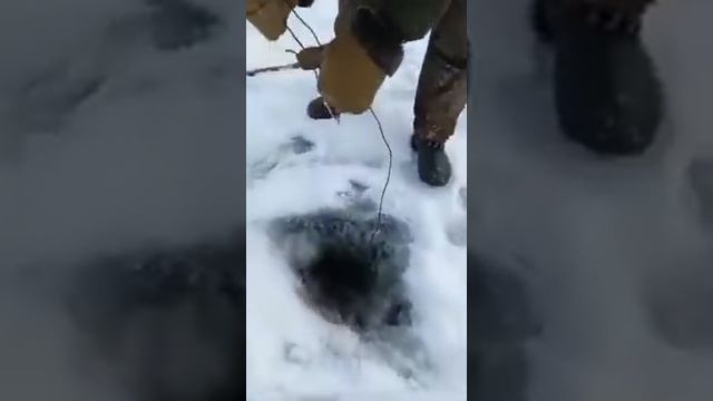 Как подо льдом поставить сети? смотреть онлайн