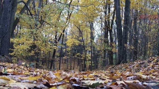 Истории на ночь - Ужас в военном городке смотреть онлайн