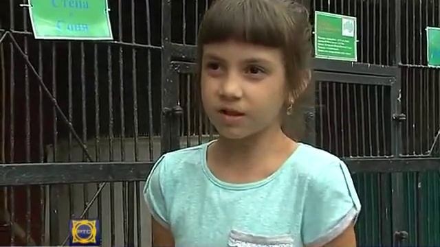 Абаканский зоопарк готовится принять новых обитателей смотреть онлайн