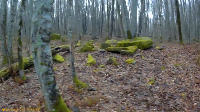 Город дольменов р.Абин 24 02 2018 смотреть онлайн