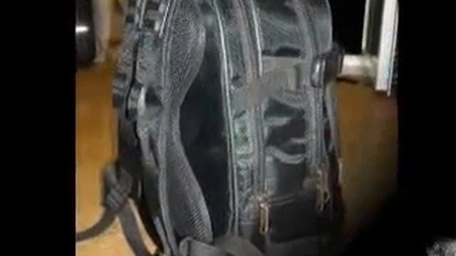 чехлы для музыкалных инструментов от Sanziyo №1 в мире смотреть онлайн