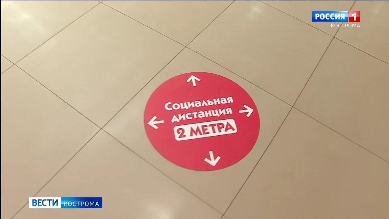 Арго кострома на шагова телефон