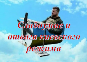 Слабоумие и отвага киевского режима