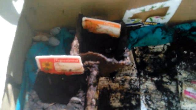 Акция плантация #3 смотреть онлайн