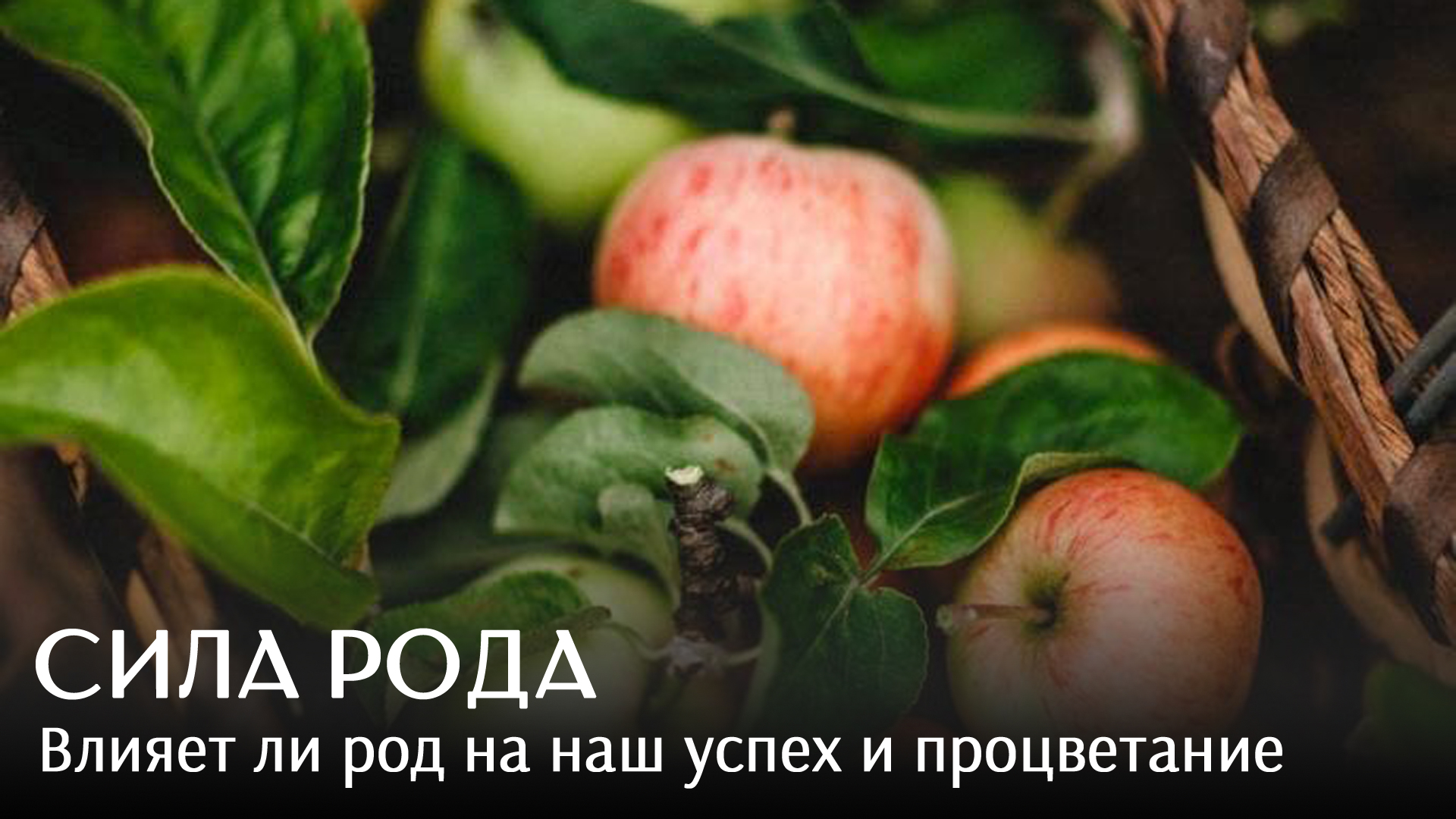 Сила рода. Как наши отношения с родственниками влияют на наш уровень жизни