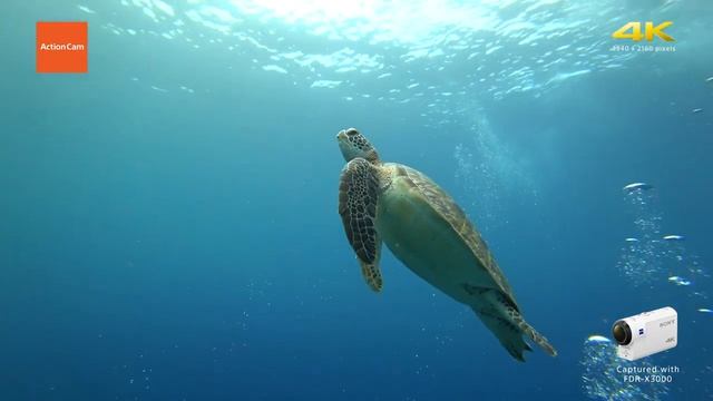 Экшен камера топовая sony fdr-x3000 смотреть онлайн