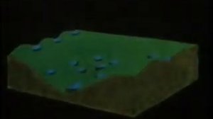 Билл Моллисон  Под угрозой падающей еды