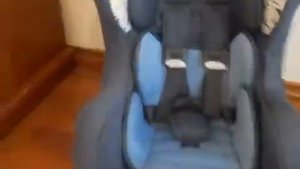 Автокресло Nania Cosmo SP LX IsosFix