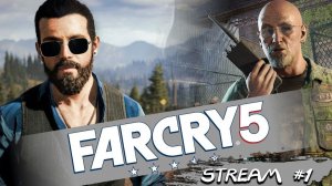 Далеко крик: дай пять [#FarCry5]