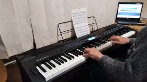 Kurzweil KA-120 - Night Birds
