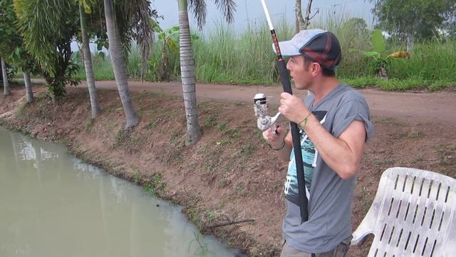 amazon fish park pattaya 2013 ted playing 20lb redtail смотреть онлайн