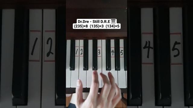 Dr.Dre - Still D.R.E (Piano Tutorial)