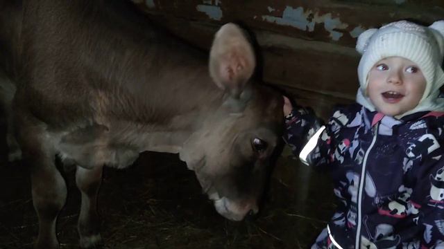 Дети в деревне. Домашние животные. смотреть онлайн