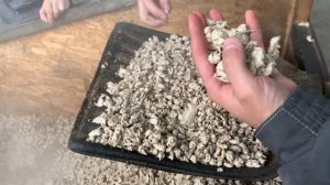 Экструдированные корма для кошек и собак - легко!