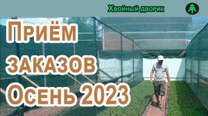 Начался приём предварительных заказов Осень 2023 года на нашем сайте!  питомник "Хвойный дворик"