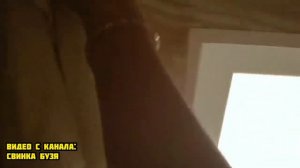 ЕСЛИ УИДЕШЬ ЭТОГО БОМЖА ВОЗЛЕ ДОМА, СРОЧНО БЕГИ ! **Он Пришёл!** Морская Свинка Бузя и Кузя Вера!!!