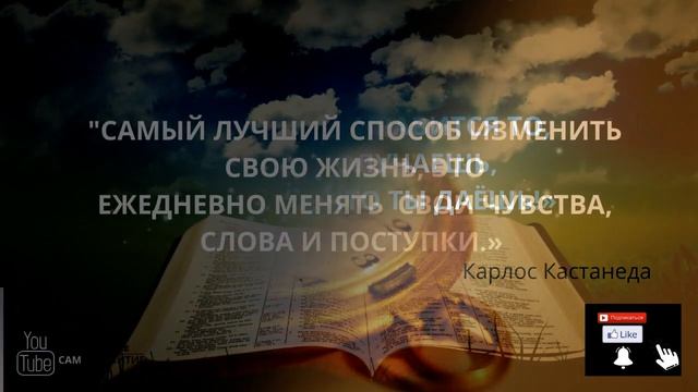 Цитаты со смыслом №2 высказывания, статусы, афоризмы, статусы #цитатысосмыслом